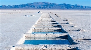 Para la CAF la unión hace la fuerza